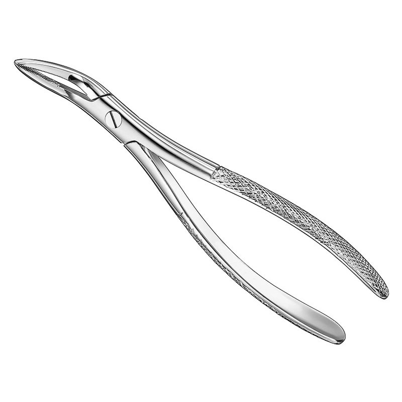 WITZEL, fcps.f.fine upper a.